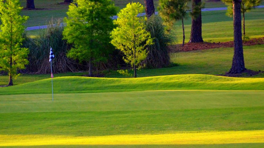 HomeGolf-900x0