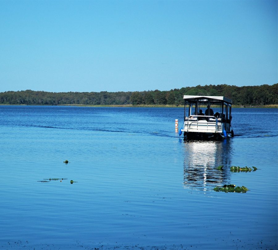 Boating on Lake Tarpon
